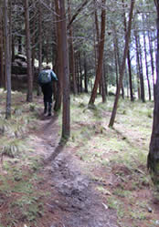 spiritual retreat center